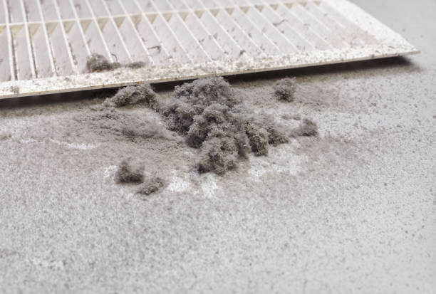 Best Residential Air Duct Cleaning  in Tignall, GA