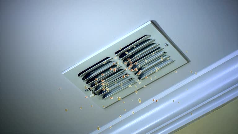 Best Best Air Duct Cleaning Company  in Tignall, GA