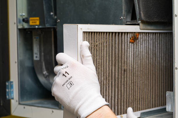 Best Best Air Duct Cleaning Near Me  in Tignall, GA